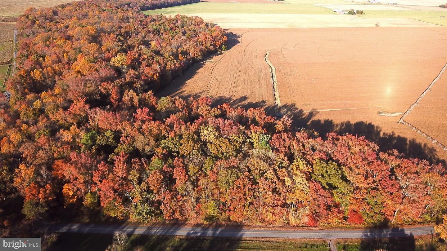 Greensboro, Caroline County, MD Farms and Ranches, Homesites for sale