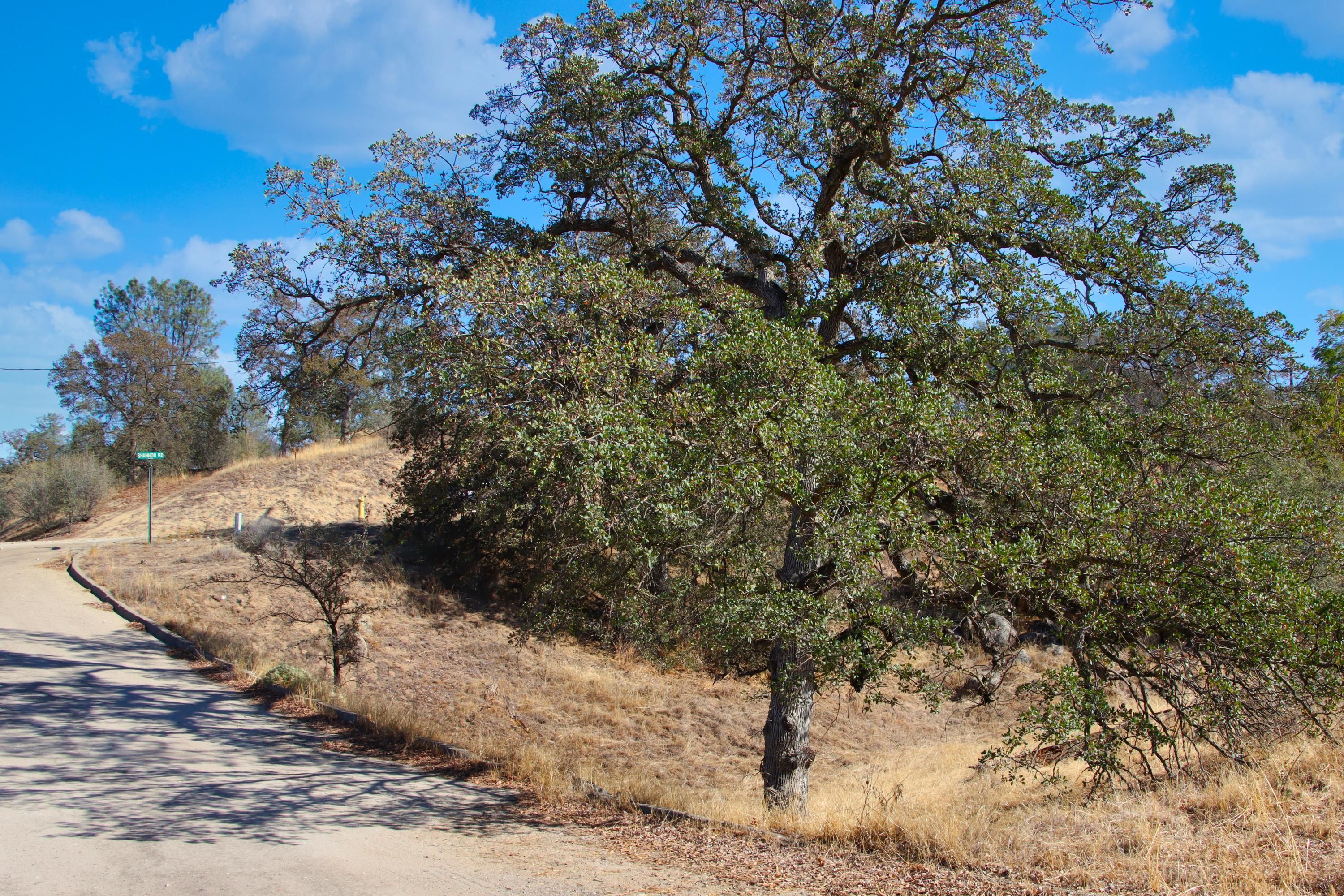 Madera, Madera County, CA Recreational Property, Undeveloped Land