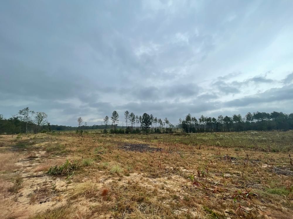 Butler, Taylor County, GA Farms and Ranches, Hunting Property, House