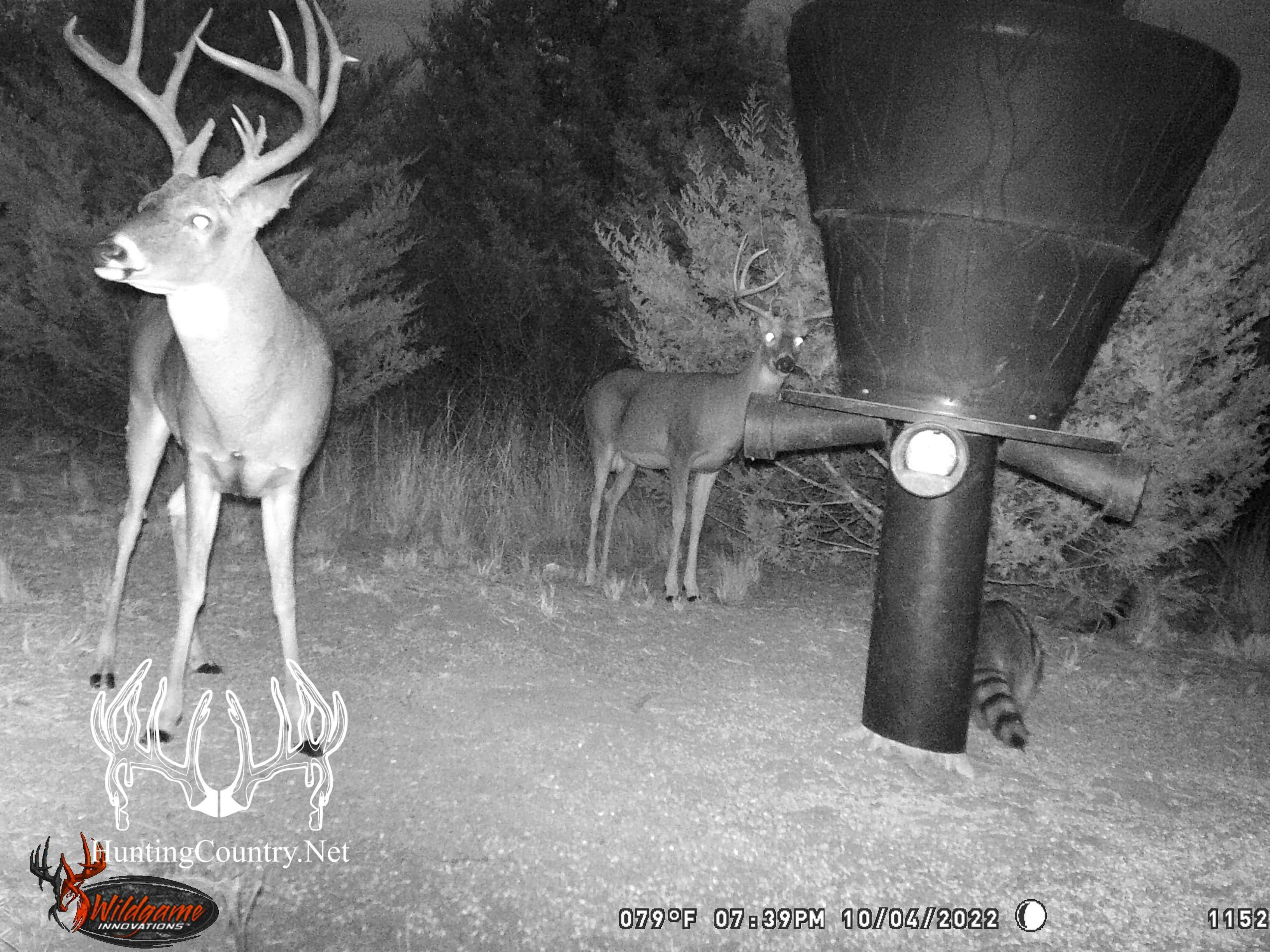 Freedom, Woods County, OK Farms and Ranches, Recreational Property