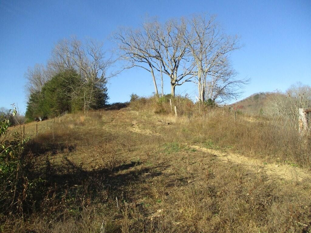 Hillsboro, Fleming County, KY Farms and Ranches for sale Property ID