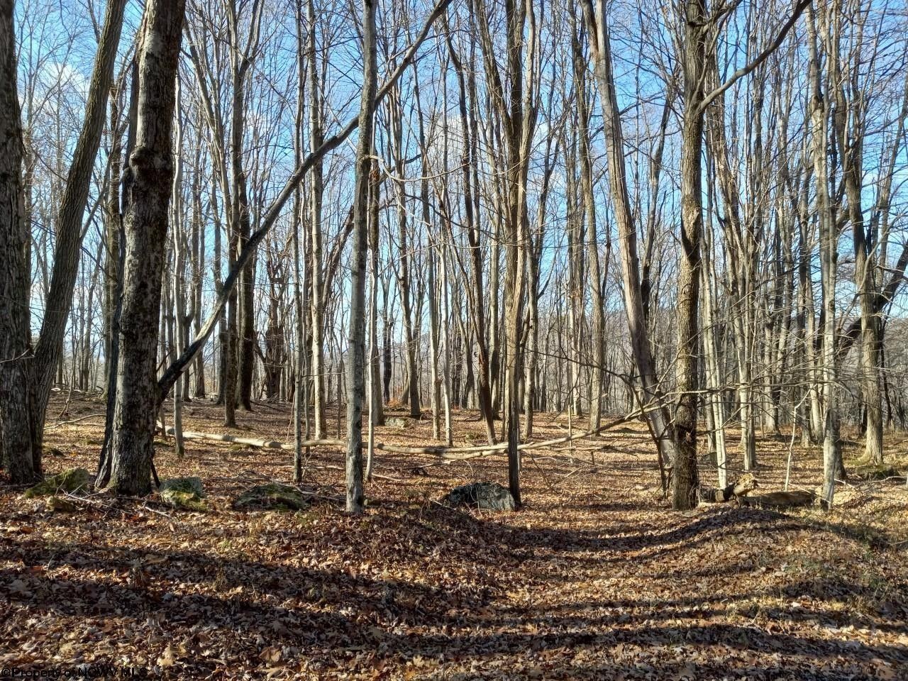 Dryfork, Randolph County, WV Undeveloped Land, Lakefront Property