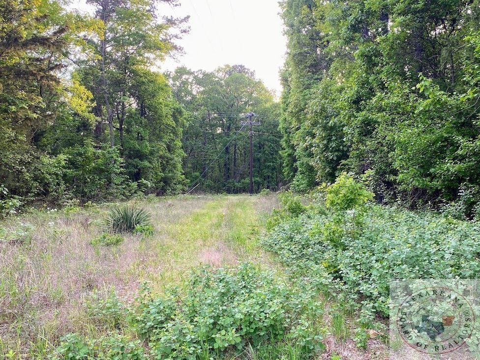 Bivins, Cass County, TX Undeveloped Land, Homesites for sale Property