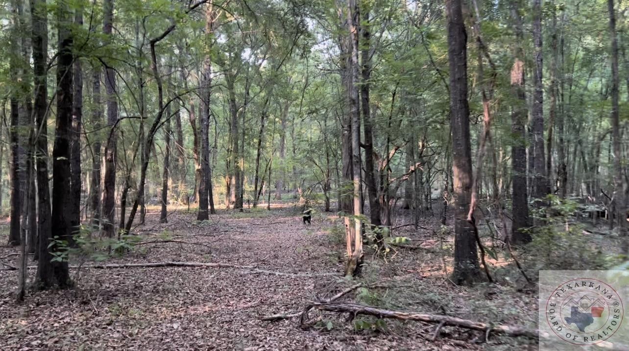 Fouke, Miller County, AR Undeveloped Land for sale Property ID