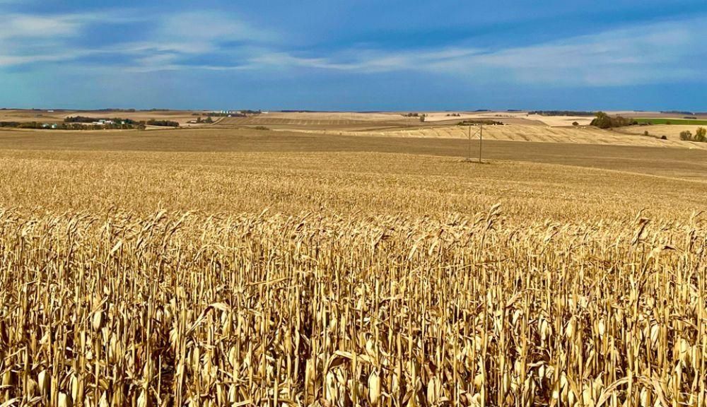 160 acres in Randolph, NE, 68771 LandWatch