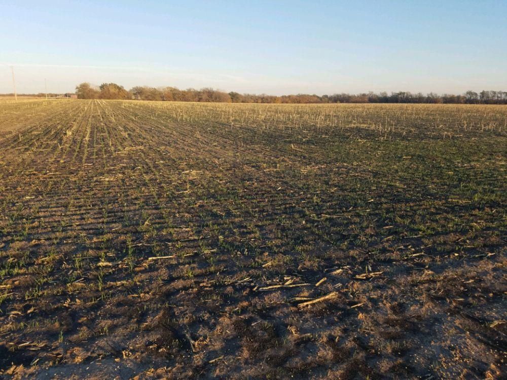 Goessel, McPherson County, KS Farms and Ranches, Undeveloped Land for