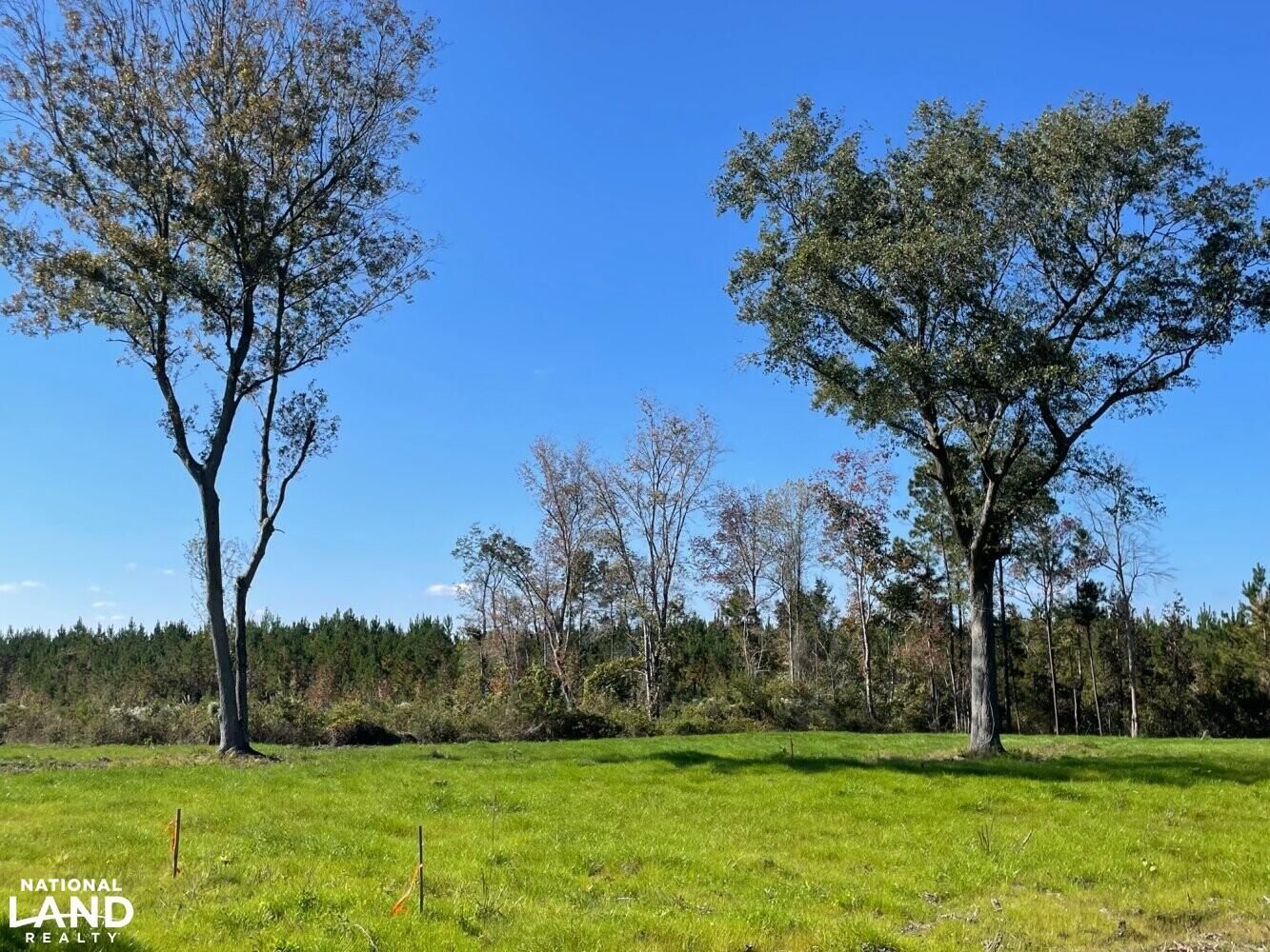 Ridgeville, Berkeley County, SC Recreational Property, Homesites for