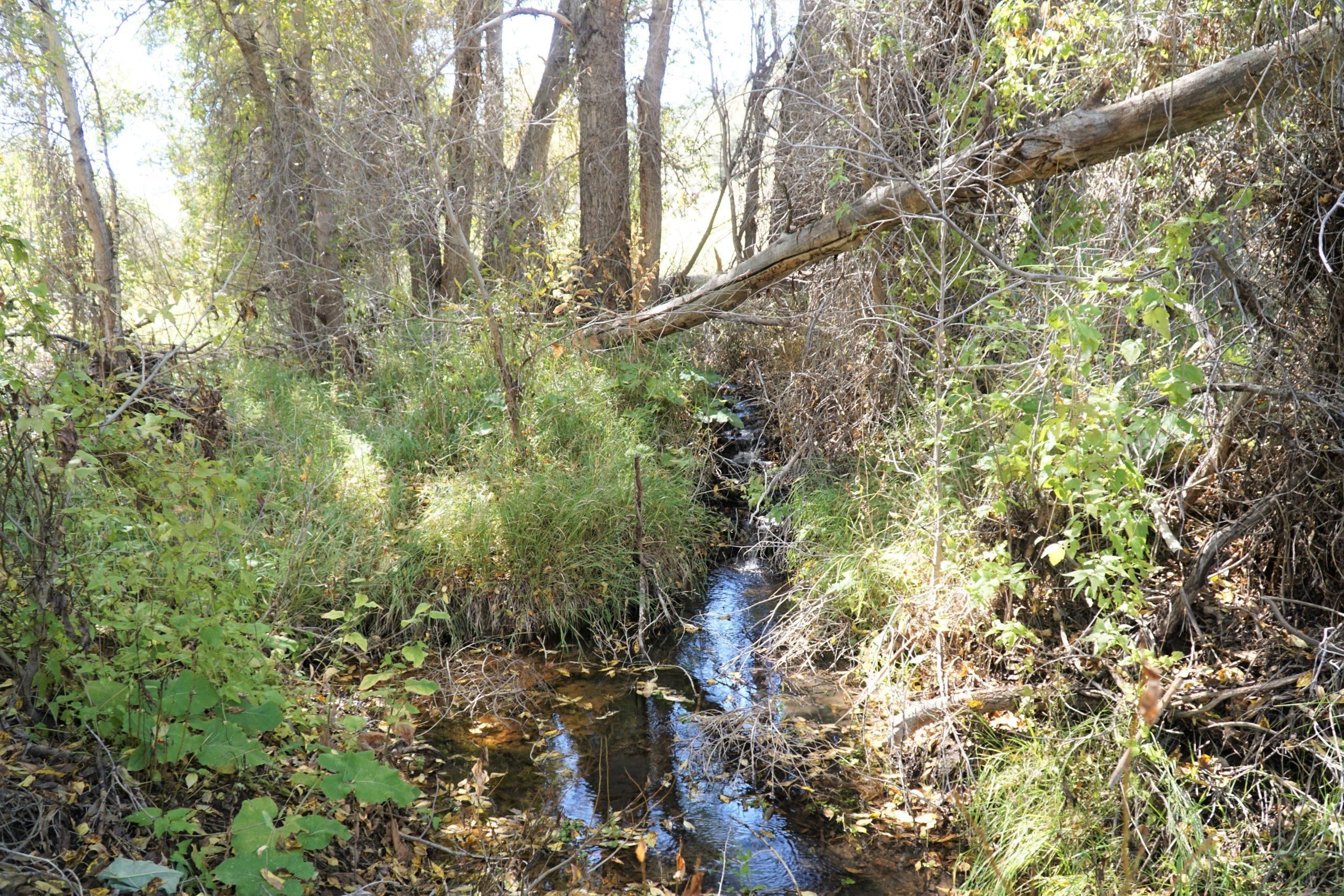 Cotopaxi, Fremont County, CO Recreational Property, Undeveloped Land