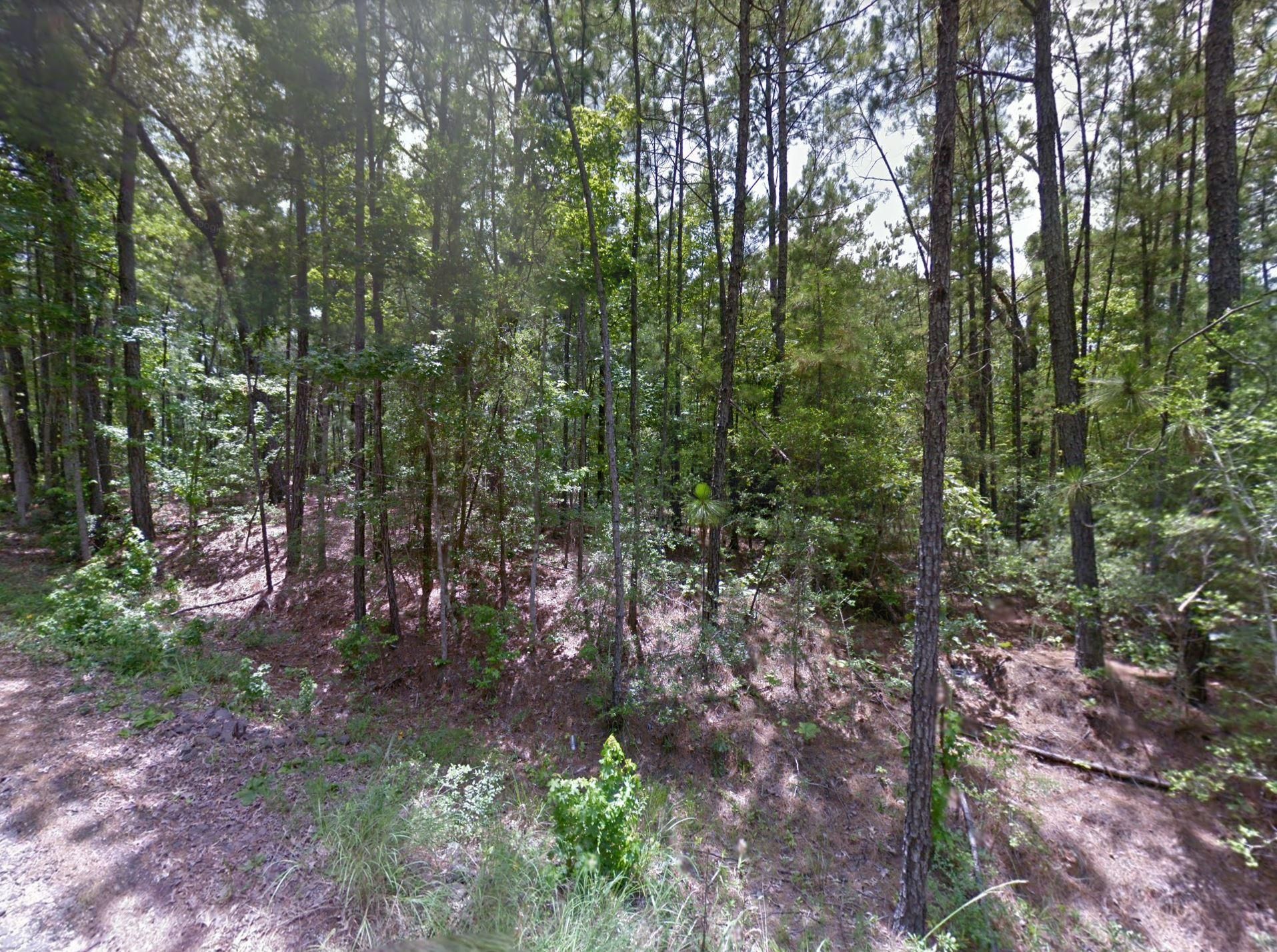 Brookeland, Jasper County, TX Recreational Property, Undeveloped Land, Homesites for sale