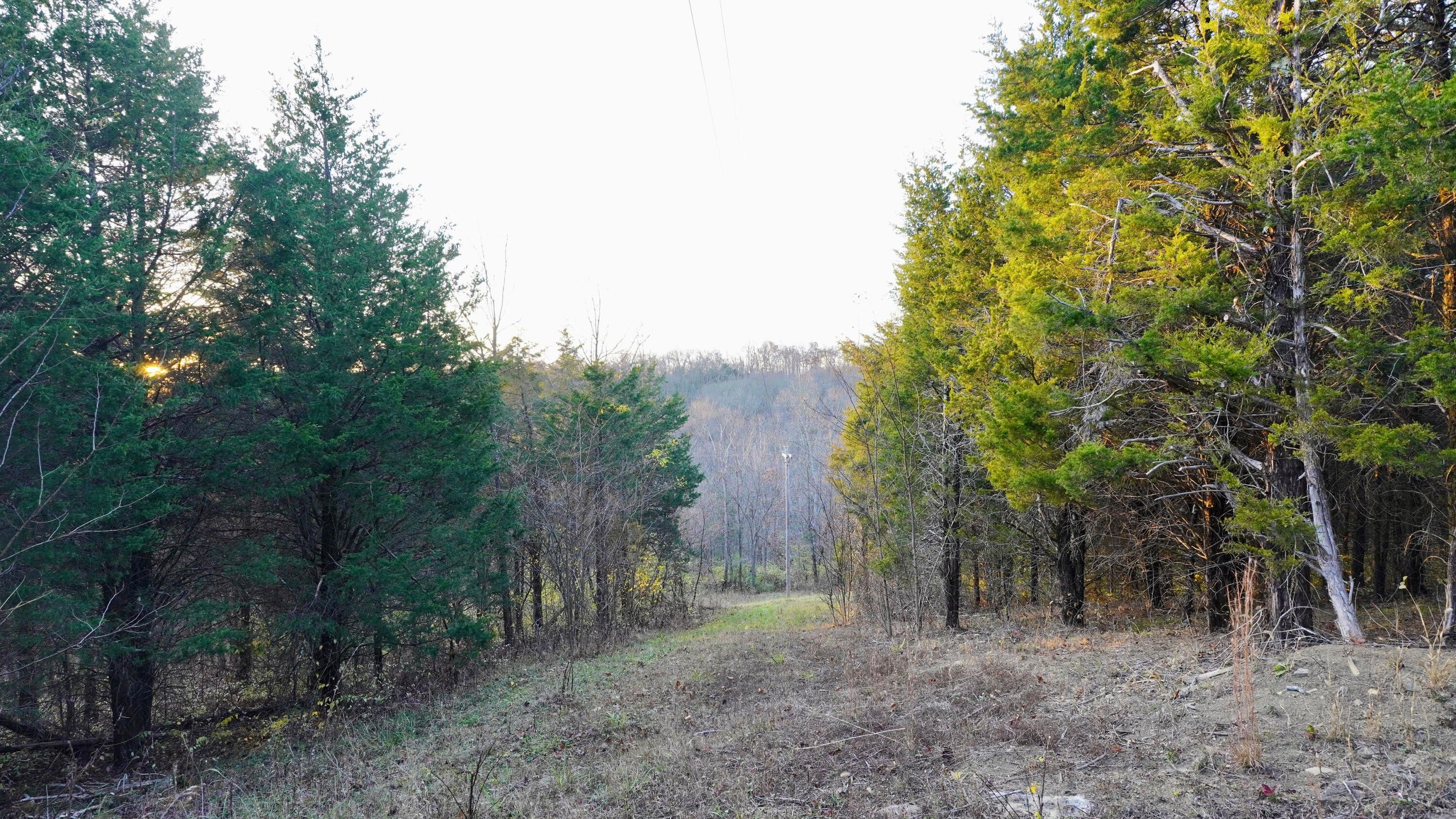 Augusta, Bracken County, KY Undeveloped Land for sale Property ID 415265716 LandWatch