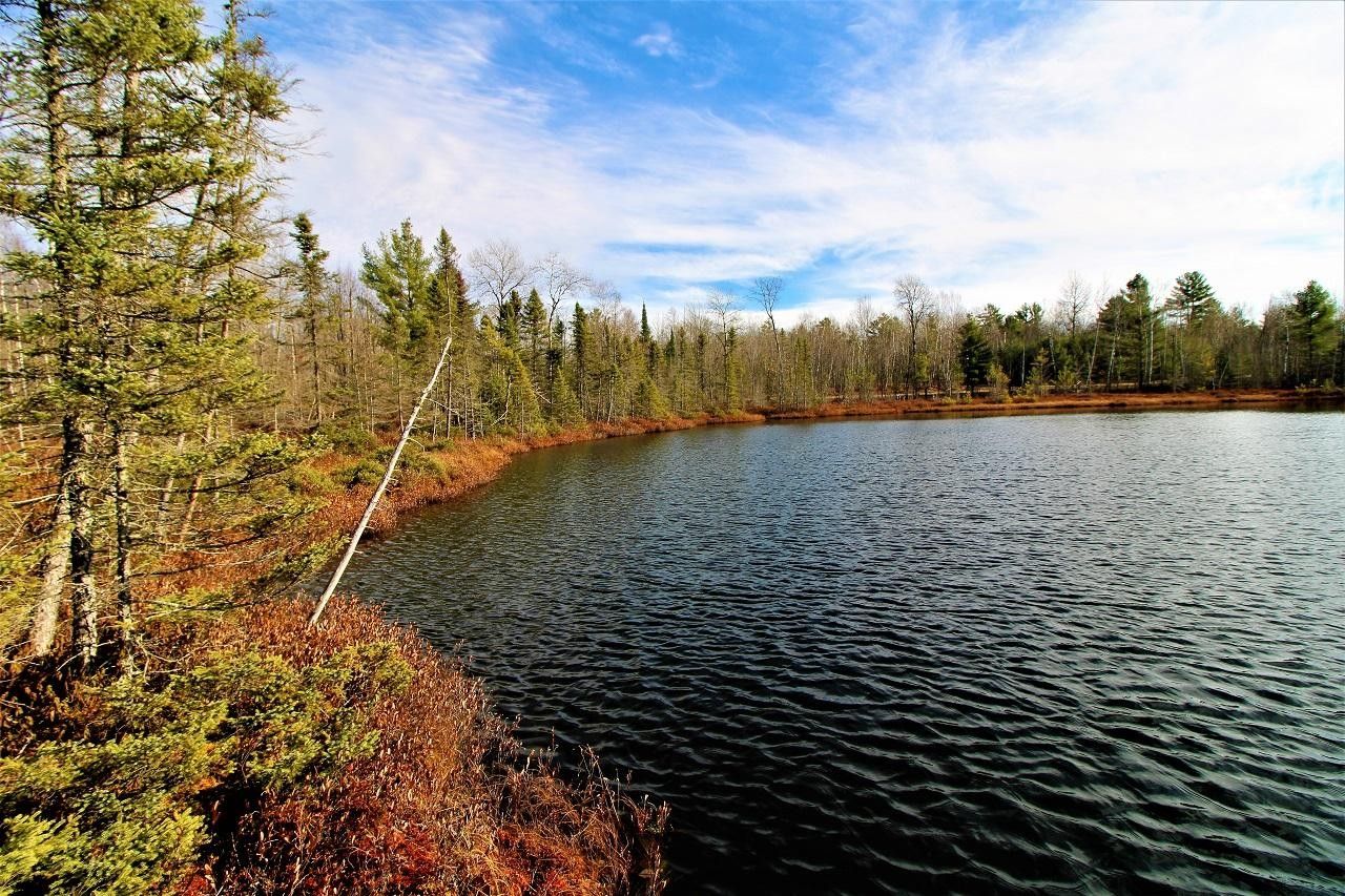 Mercer, Iron County, WI Undeveloped Land, Lakefront Property