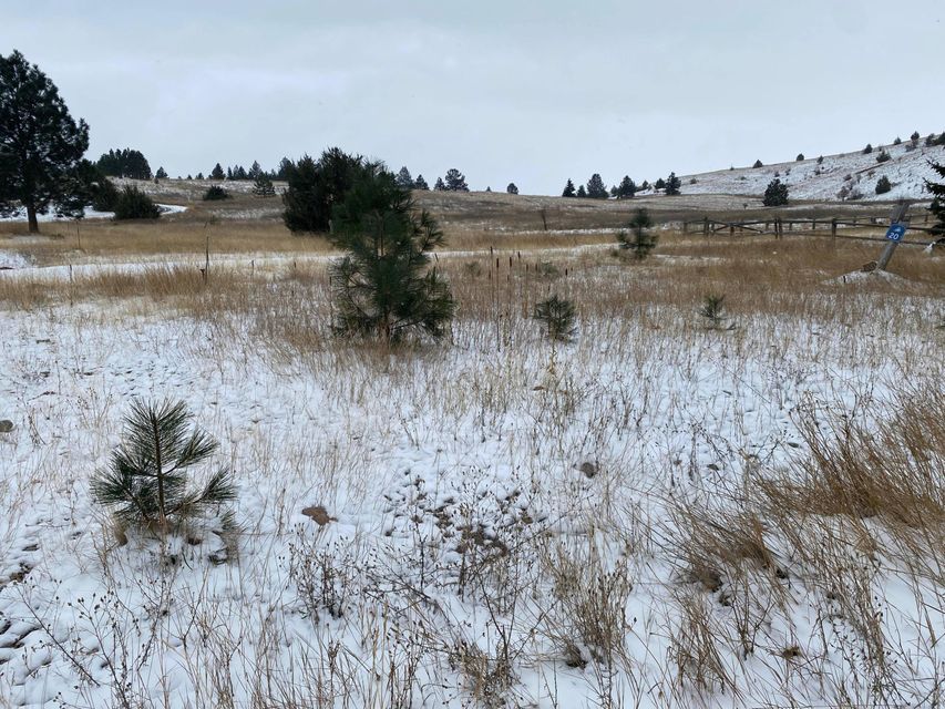 Polson, Lake County, MT Undeveloped Land, Homesites for sale Property