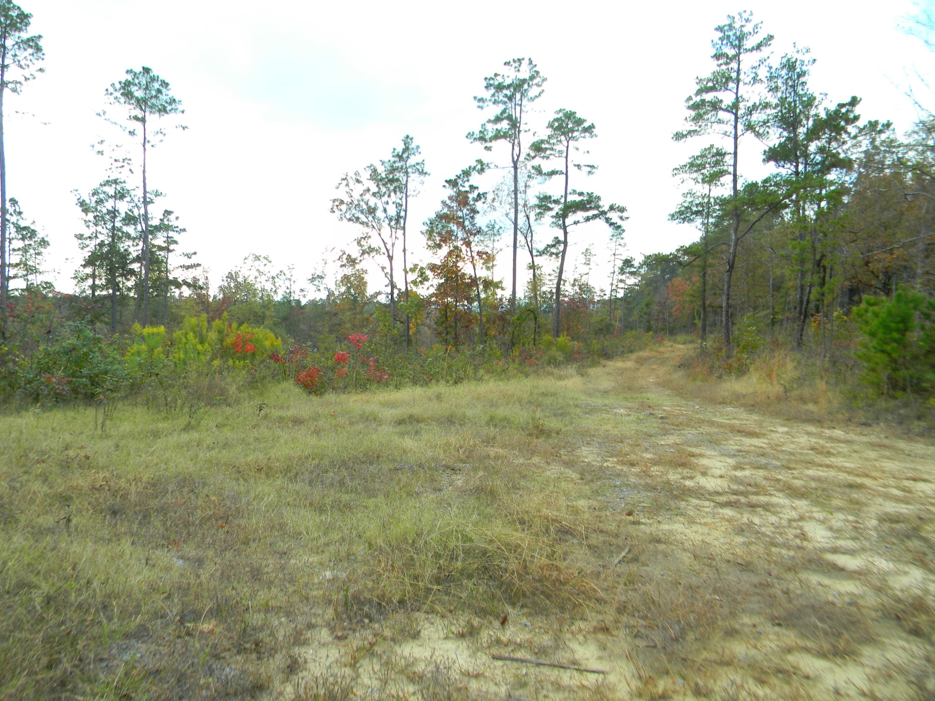 Ola, Yell County, AR Farms and Ranches for sale Property ID 415272406