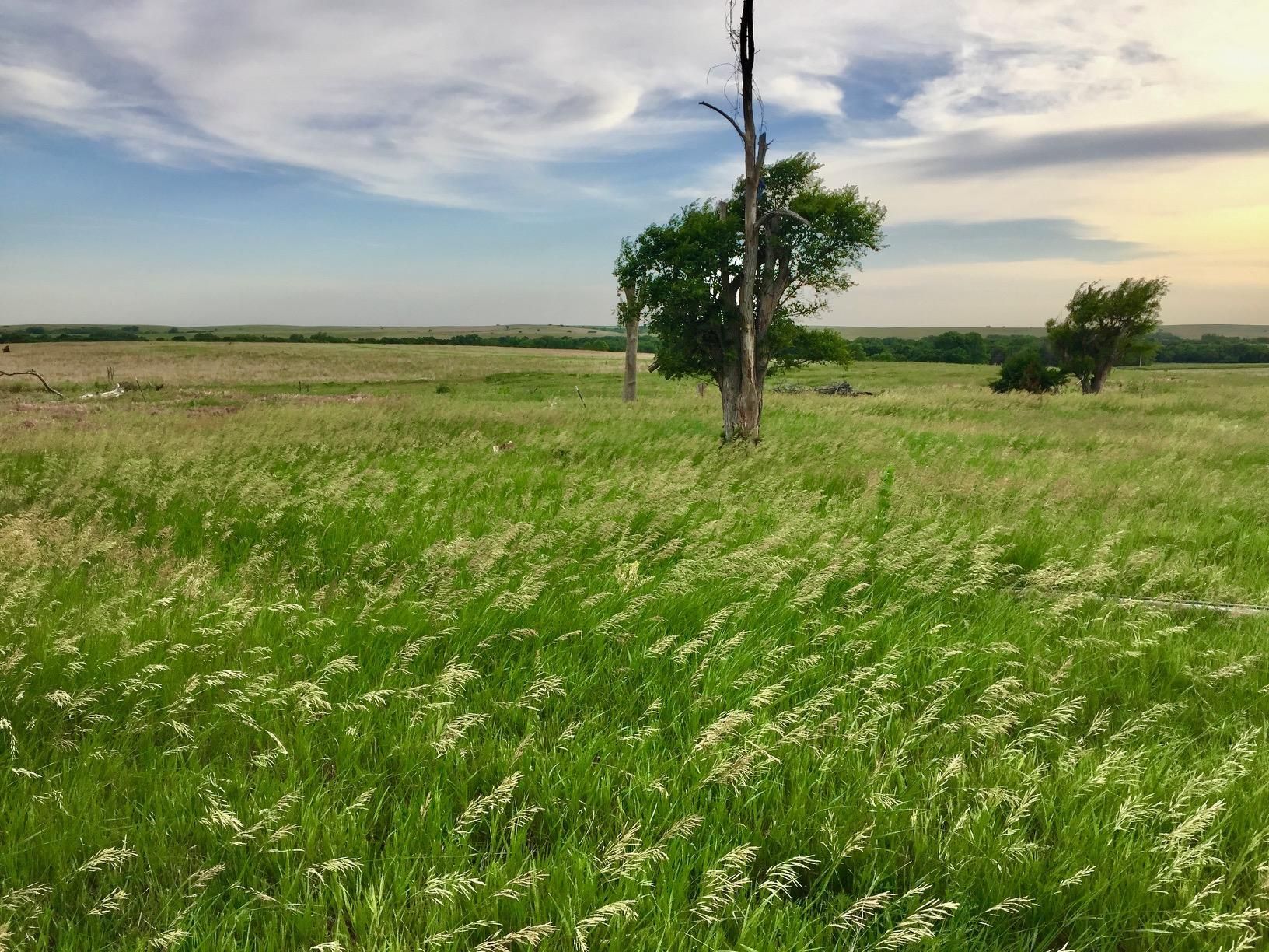 Norton, Norton County, KS Farms and Ranches for sale Property ID