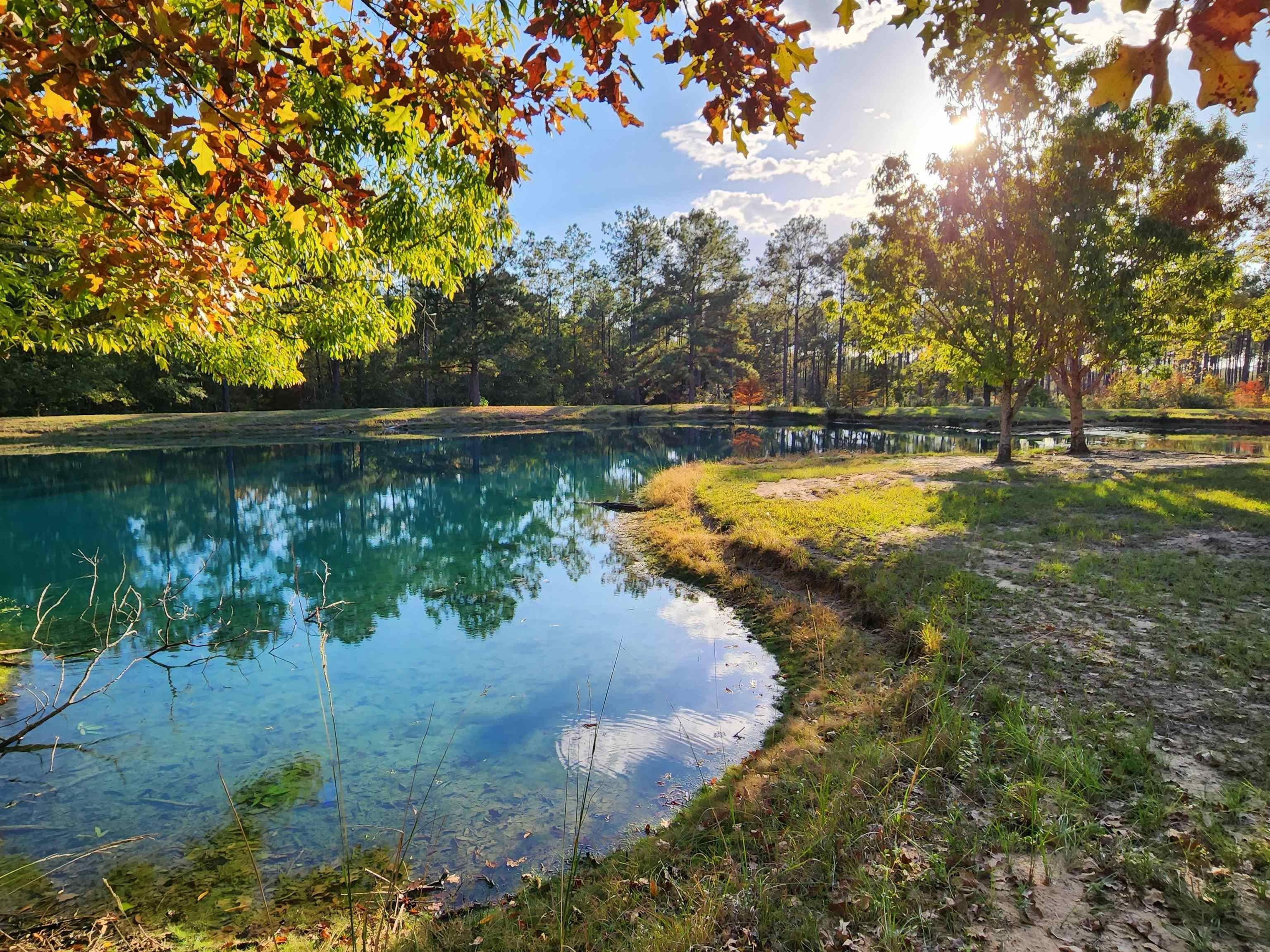 Jasper, Jasper County, TX Lakefront Property, Waterfront Property