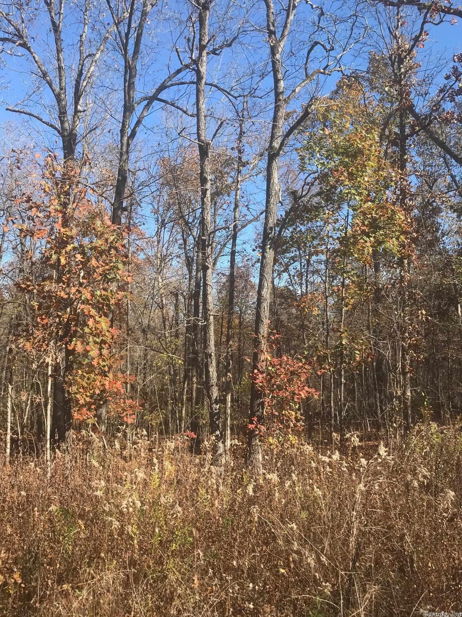 Williford, Sharp County, AR Undeveloped Land for sale Property ID