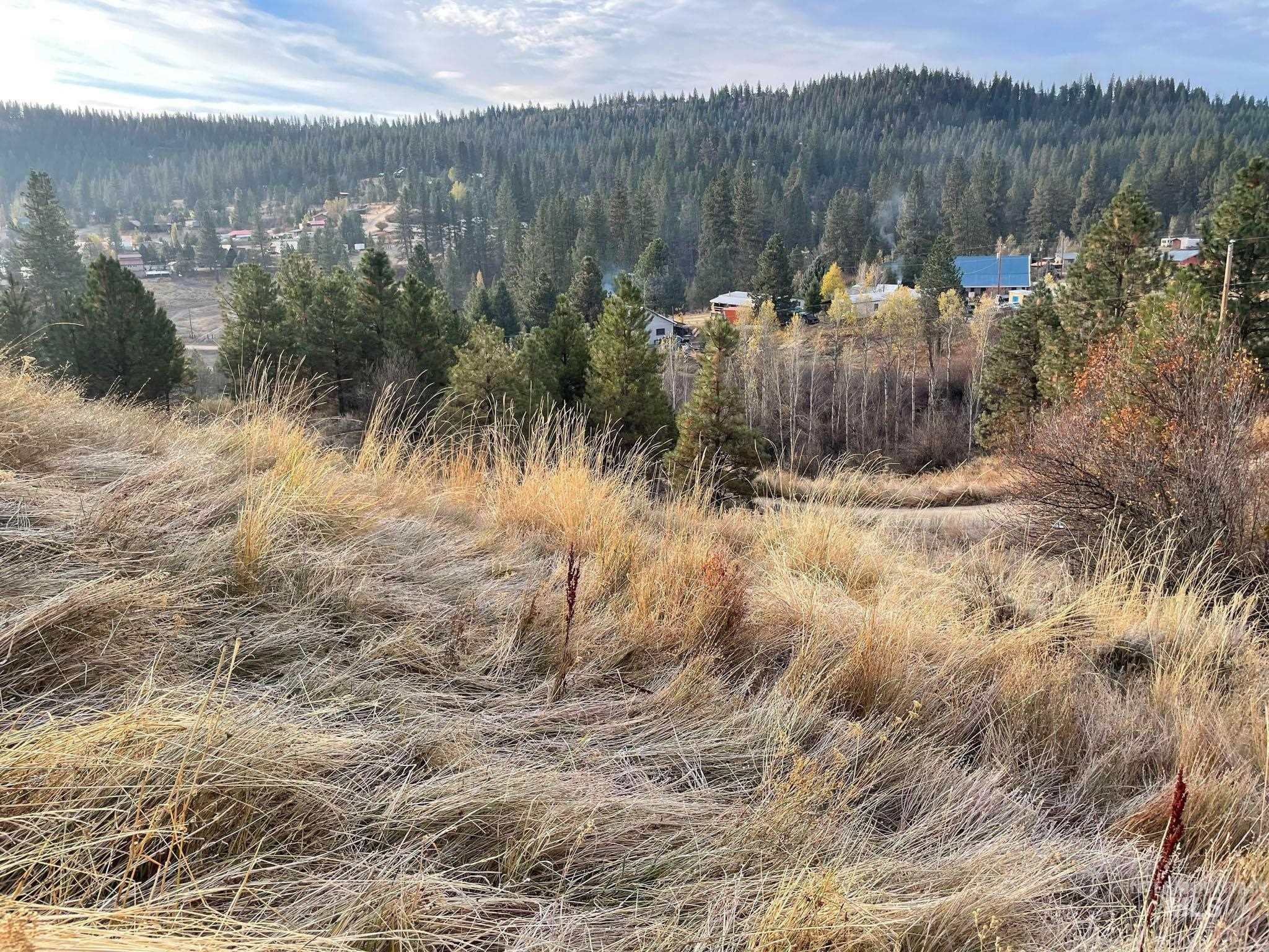 Boise, Boise County, ID Undeveloped Land, Homesites for sale Property
