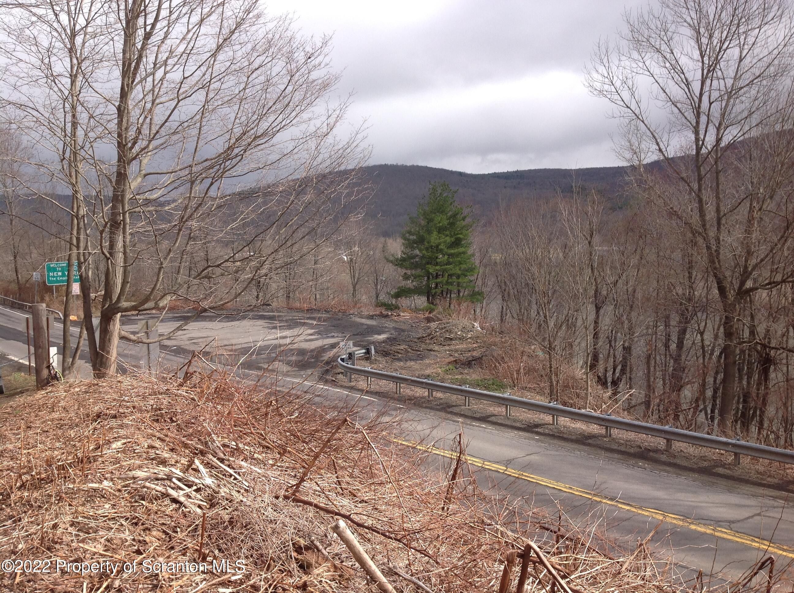 Hallstead, Susquehanna County, PA Undeveloped Land for sale Property ID