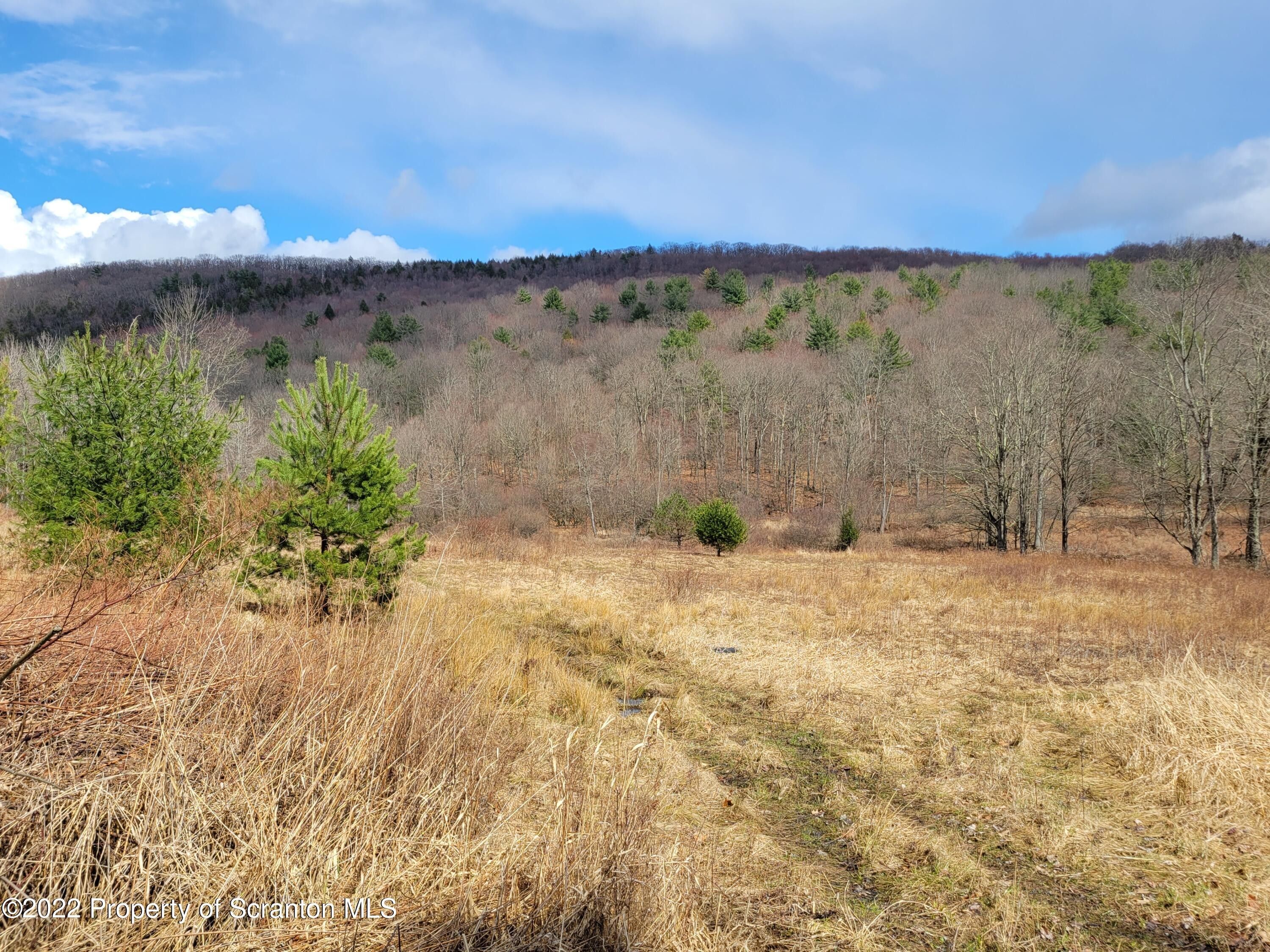 Hallstead, Susquehanna County, PA Undeveloped Land for sale Property ID
