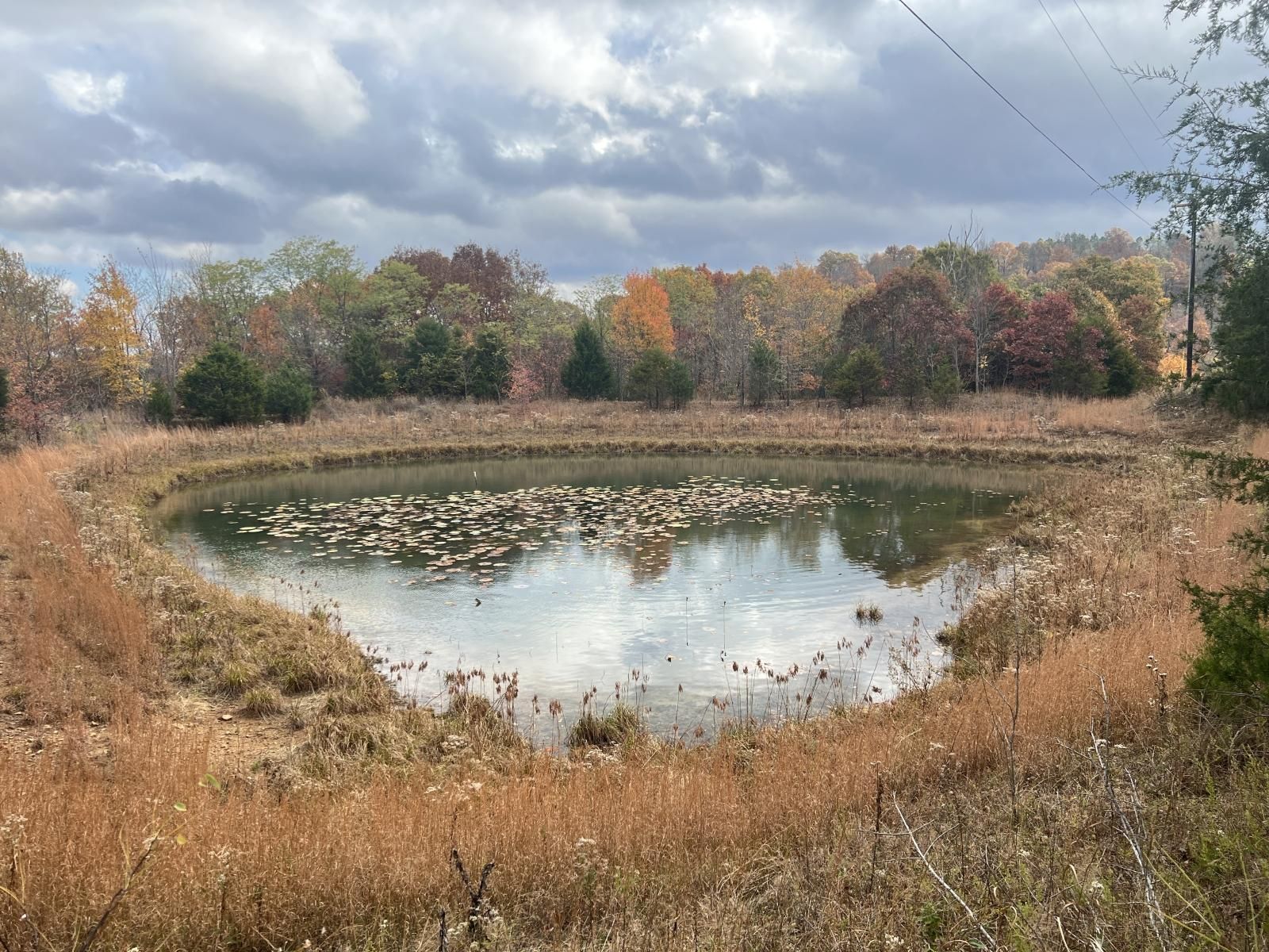 Combs, Madison County, AR Farms and Ranches for sale Property ID 415274271 LandWatch