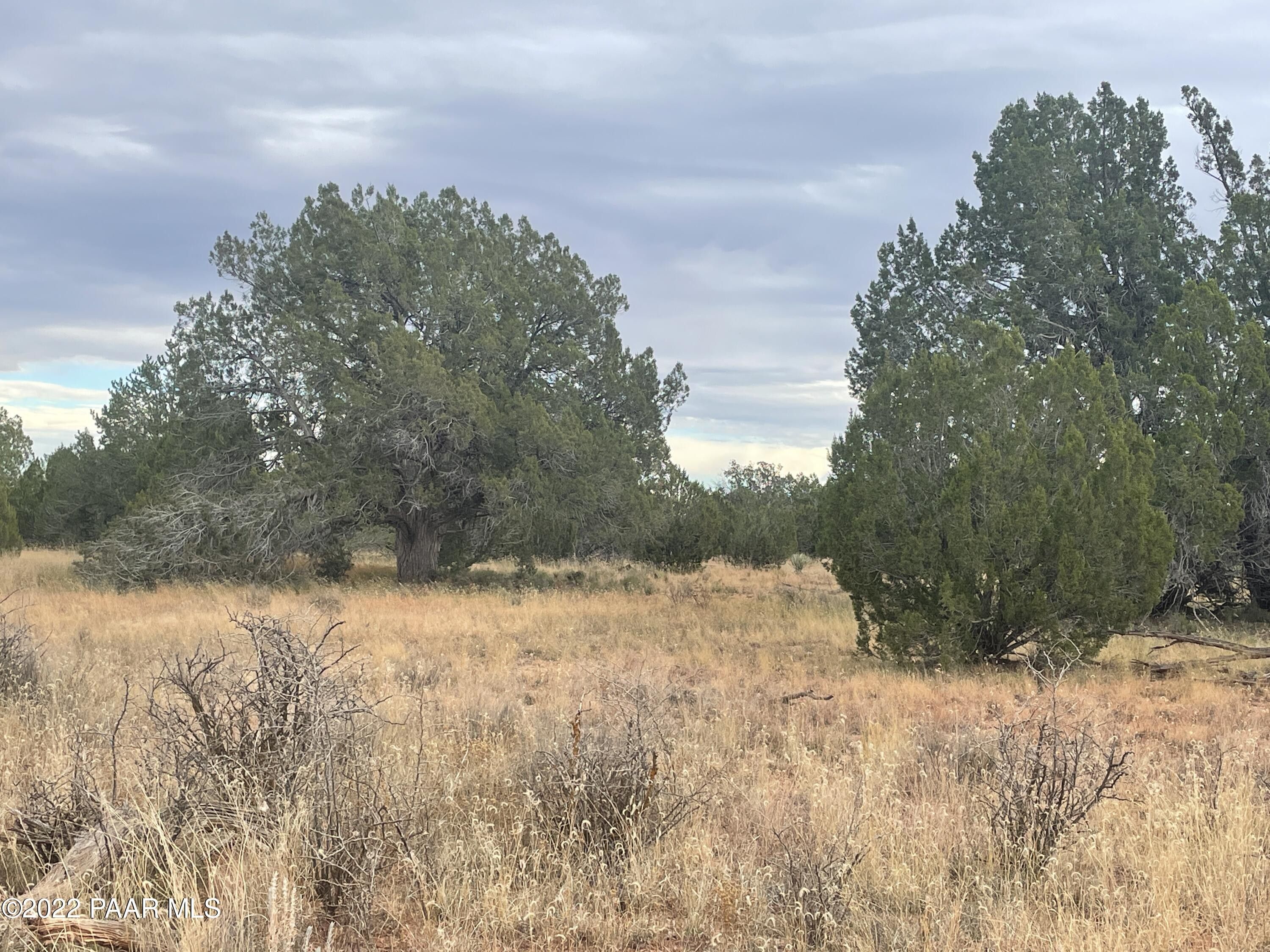 Seligman, Yavapai County, AZ Undeveloped Land for sale Property ID