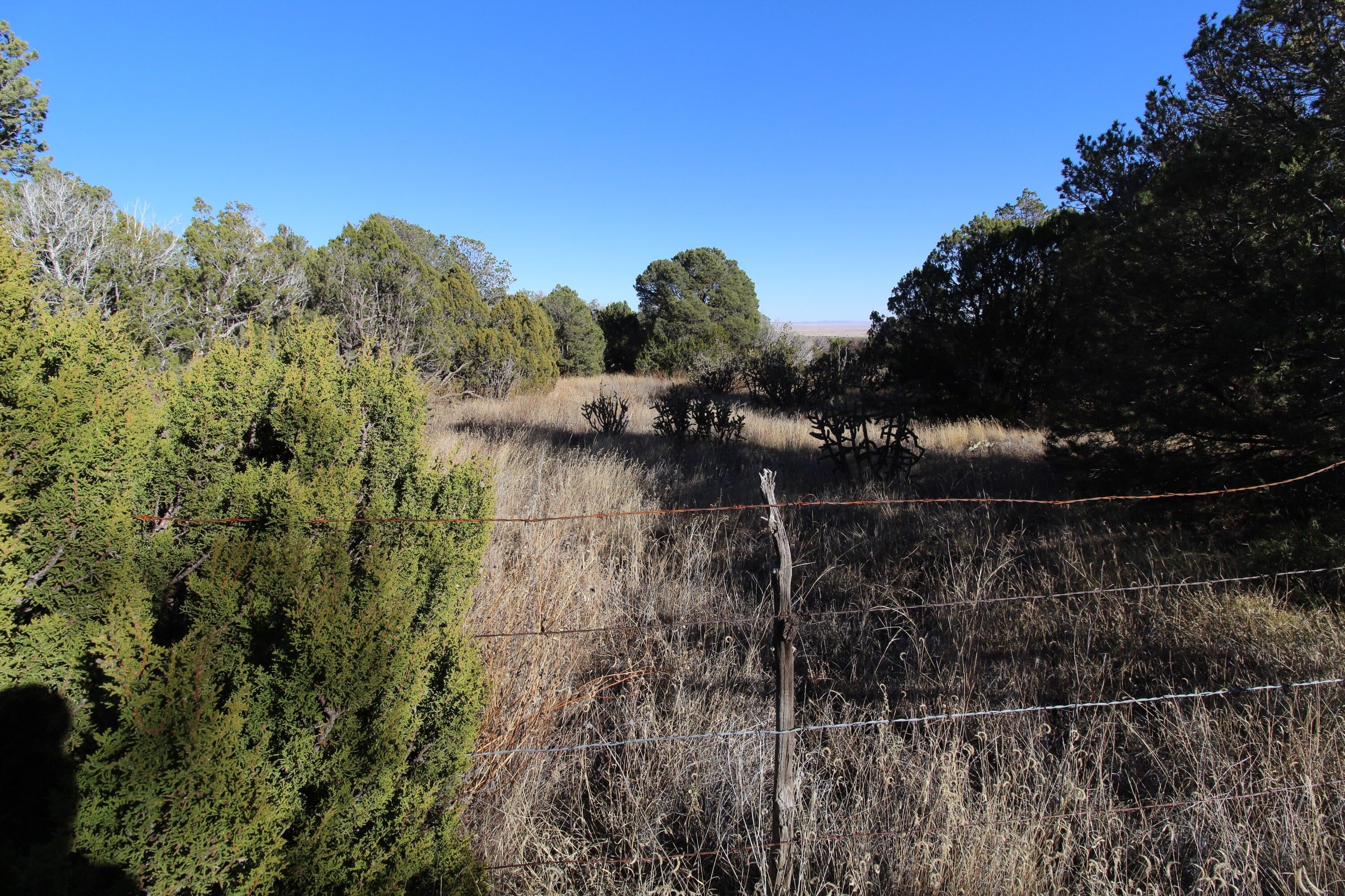 Edgewood, Torrance County, NM Farms and Ranches, Homesites for sale