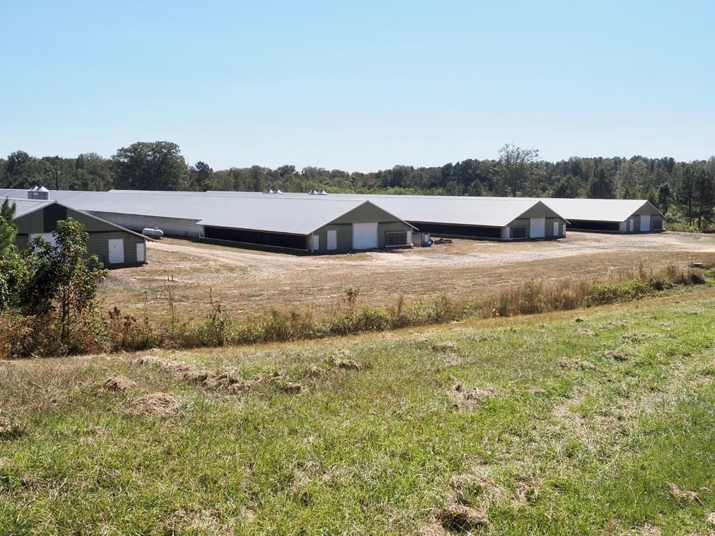 Carthage, Leake County, MS Timberland Property, Commercial Property