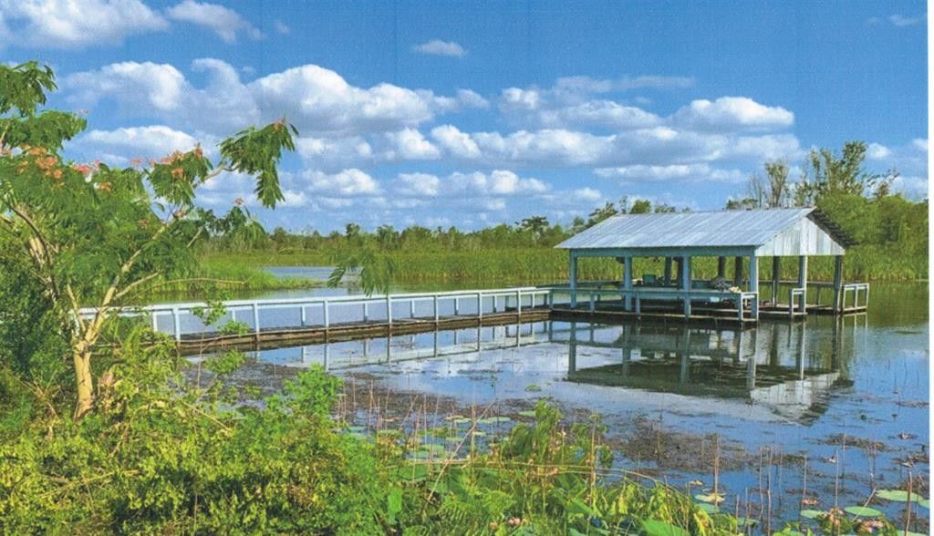Donalsonville, Thomas County, GA Lakefront Property, Waterfront