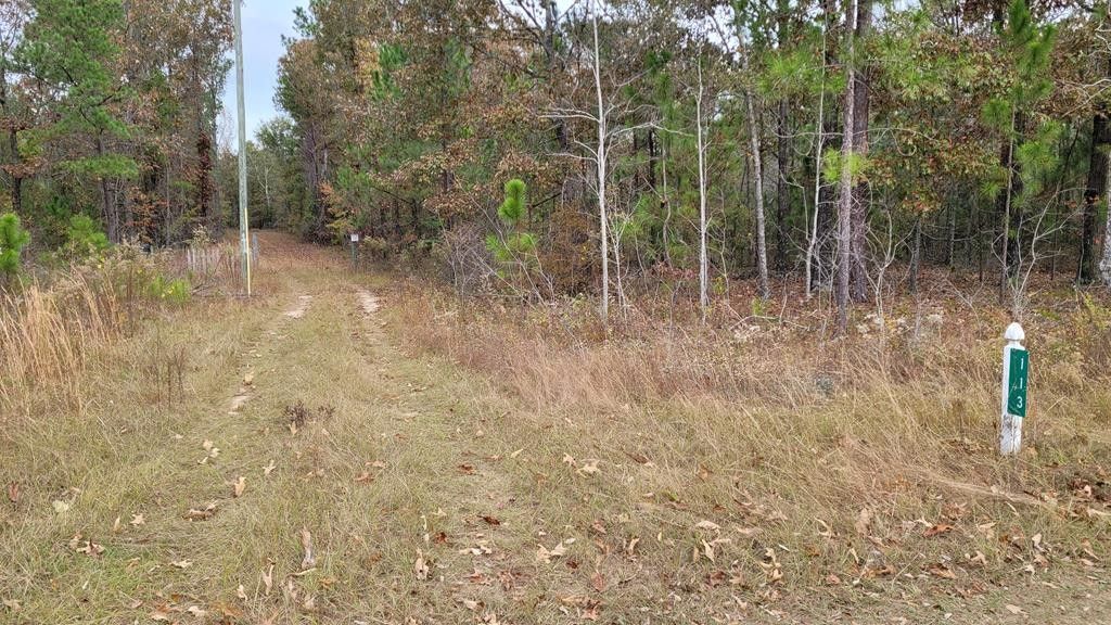Box Springs, Marion County, GA Undeveloped Land for sale Property ID