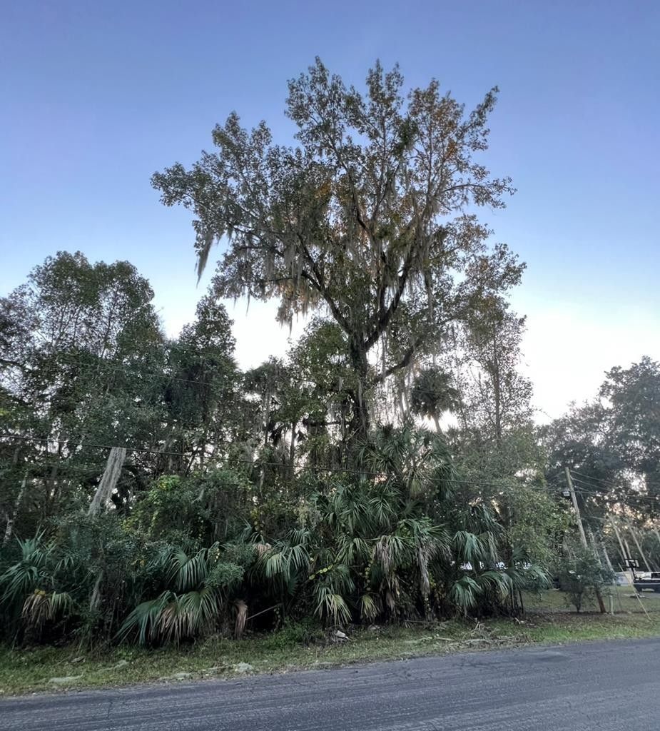 Inverness, Citrus County, FL Farms and Ranches, Lakefront Property