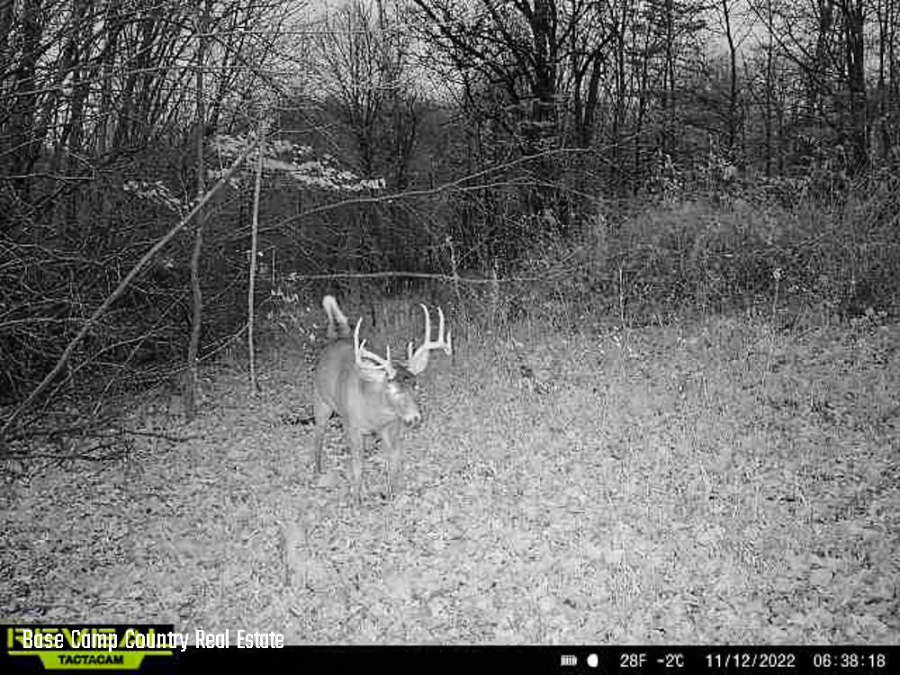 Boscobel, Crawford County, WI Farms and Ranches, Recreational Property