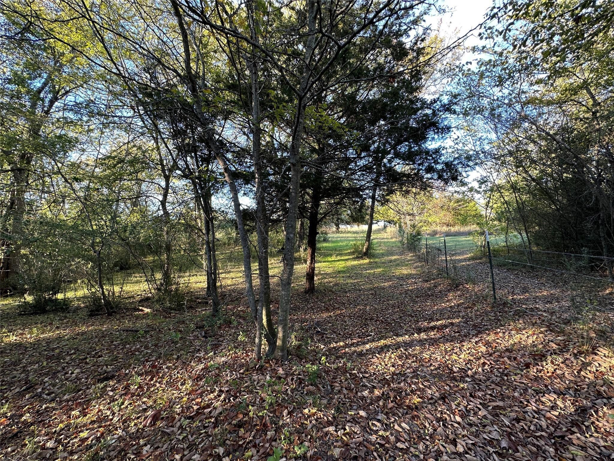 Brashear, Hopkins County, TX Recreational Property, Undeveloped Land