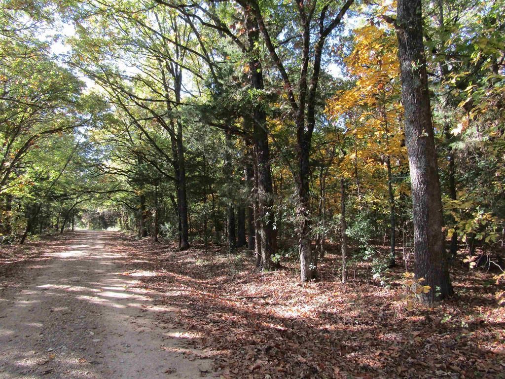 Sumner, Lamar County, TX Recreational Property for sale Property ID