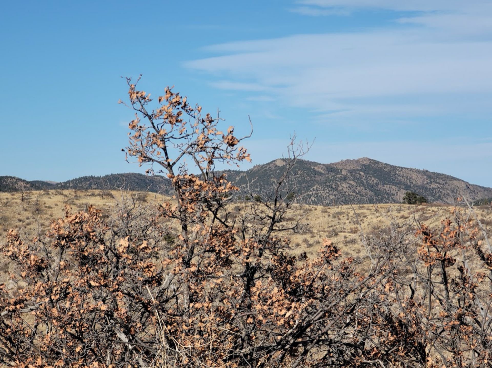 Westcliffe, Fremont County, CO Recreational Property, Homesites for sale Property ID 415284100