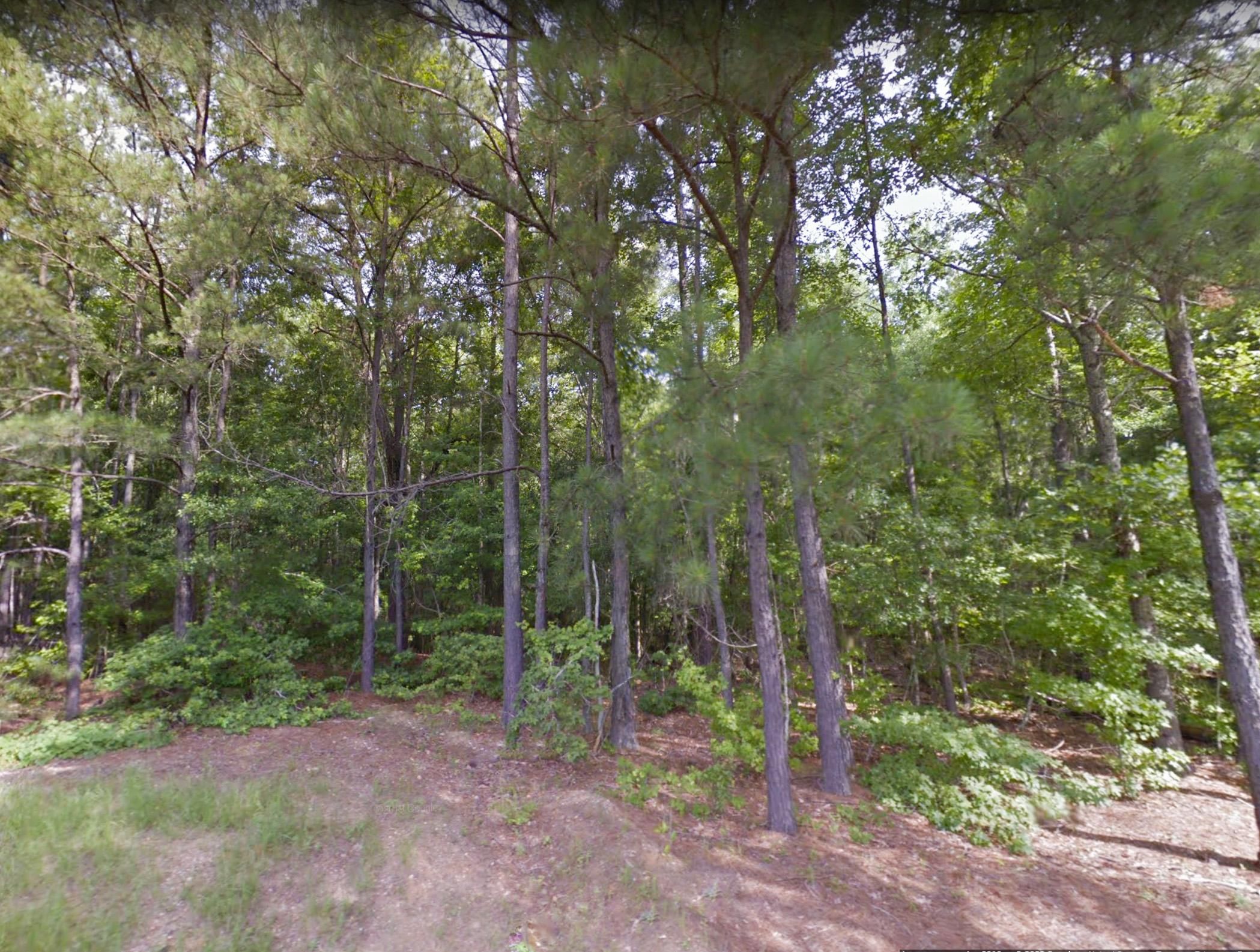 Wetumpka, Elmore County, AL Recreational Property, Undeveloped Land