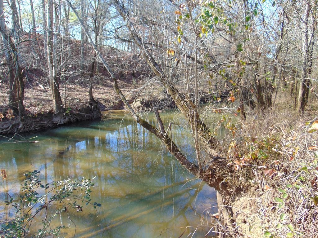 Calhoun, Polk County, TN Undeveloped Land for sale Property ID