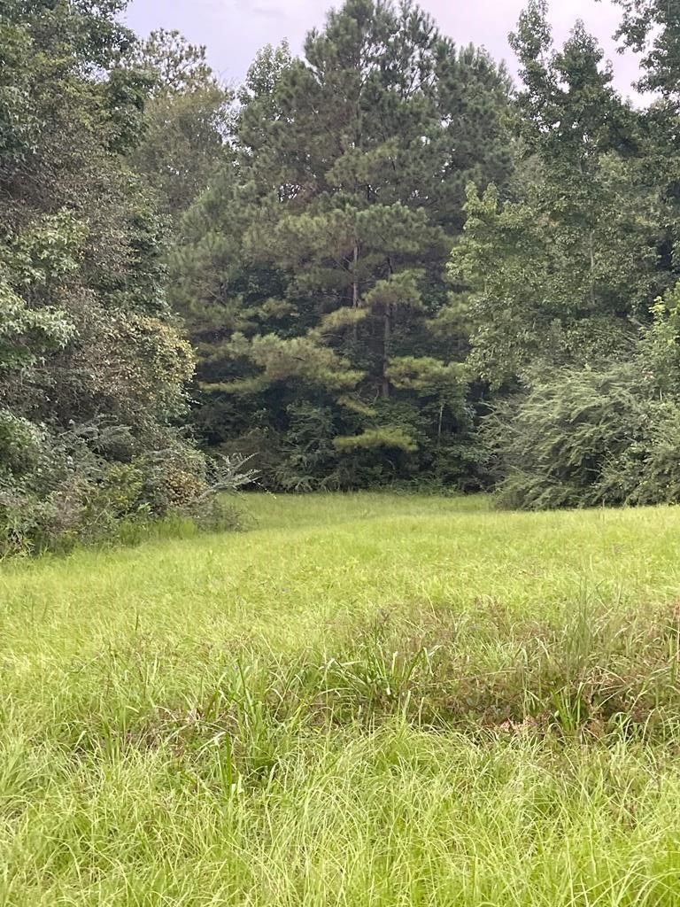 Poplarville, Pearl River County, MS Undeveloped Land for sale Property