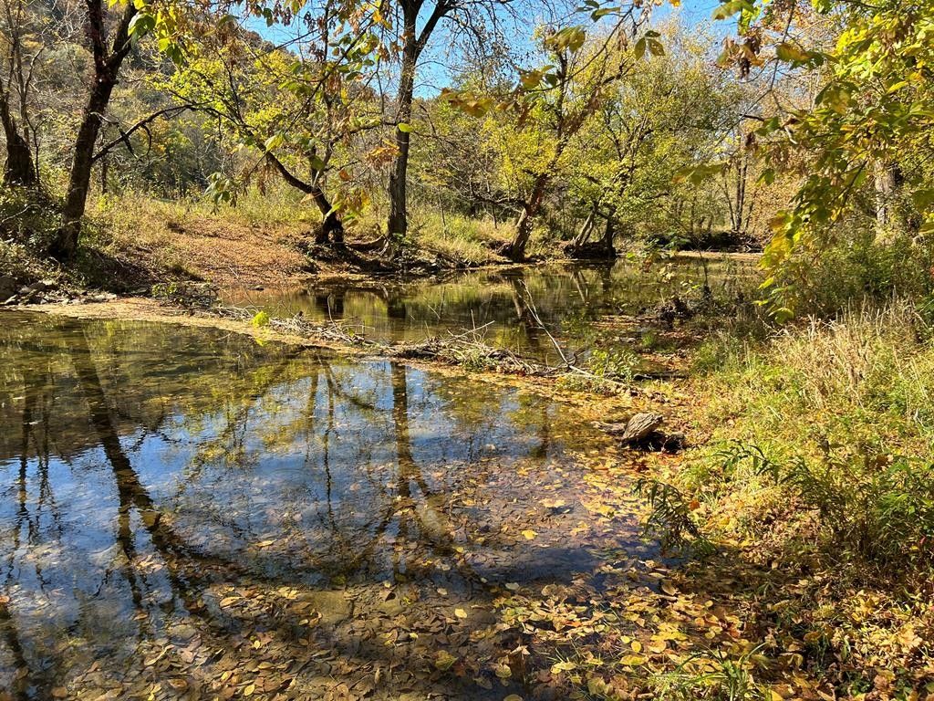 Celina, Clay County, TN Farms and Ranches, Lakefront Property, Waterfront Property for sale