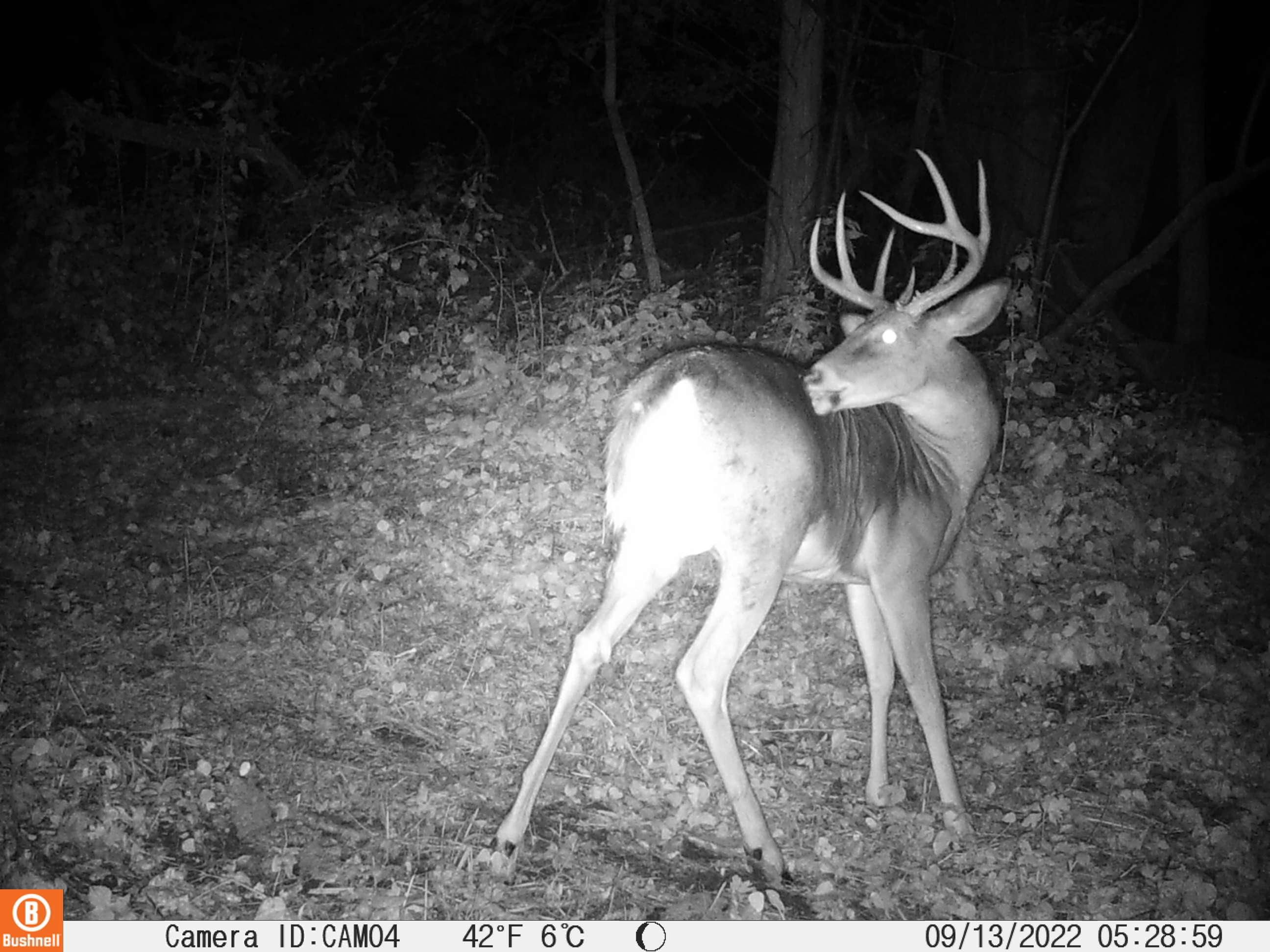 lanesboro-fillmore-county-mn-farms-and-ranches-recreational-property