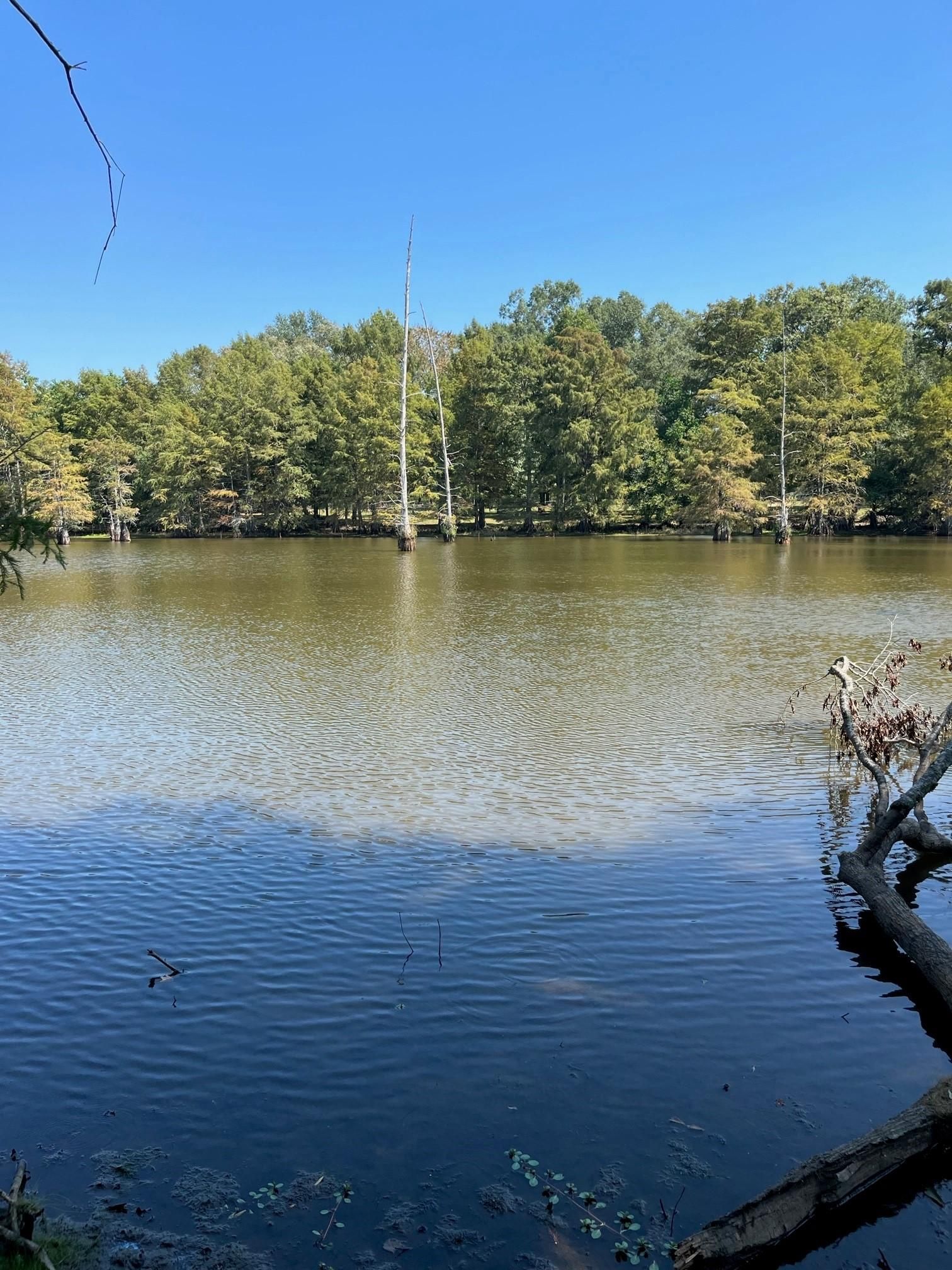 County Road 3605, Joaquin, TX 75954 MLS 206332 LandWatch