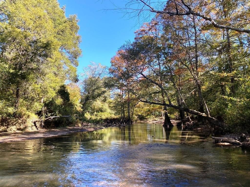 3753 Steens Vernon Rd, Steens, MS 39766 LandWatch