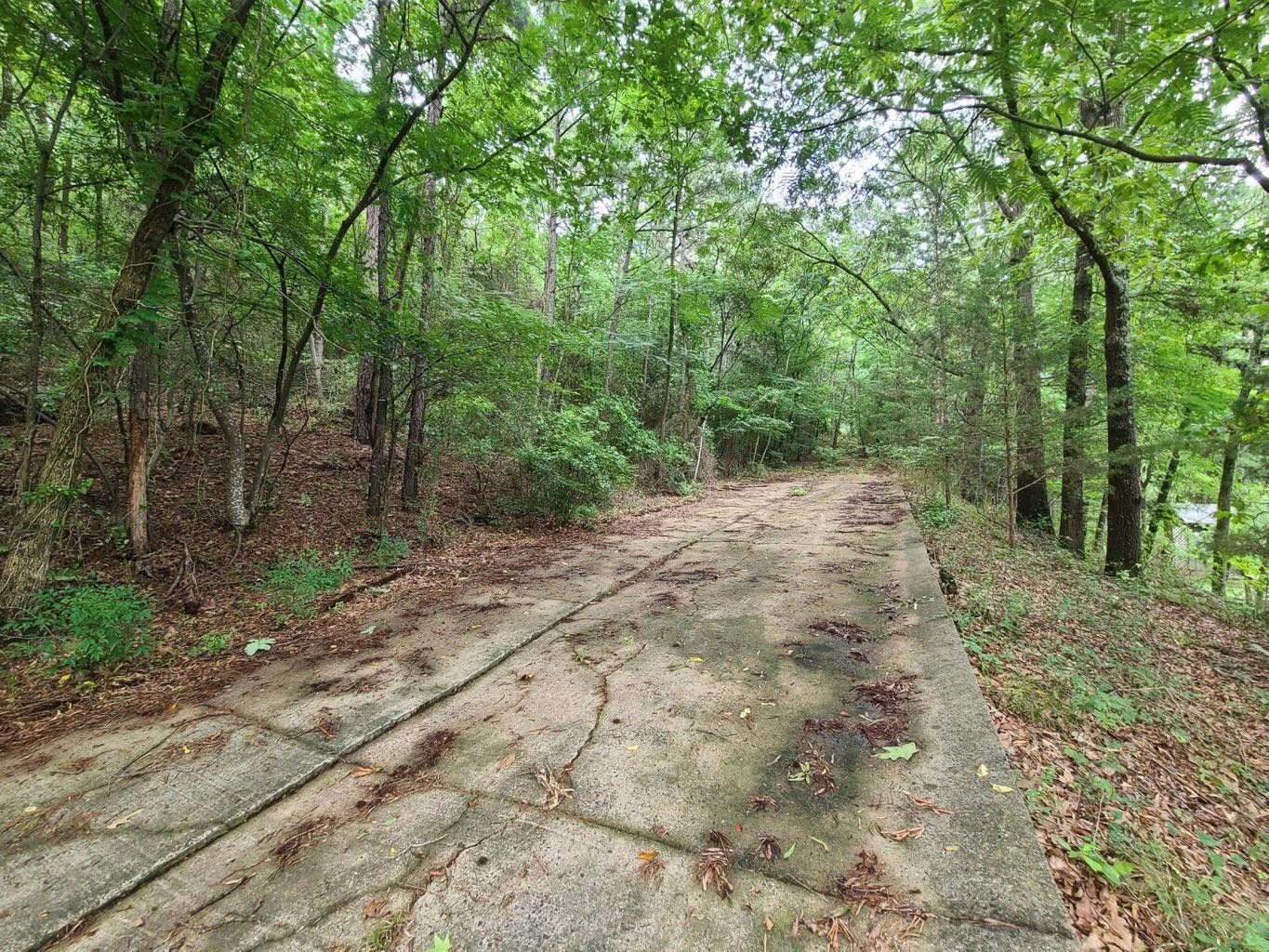 Dardanelle, Yell County, AR Undeveloped Land, Homesites for sale