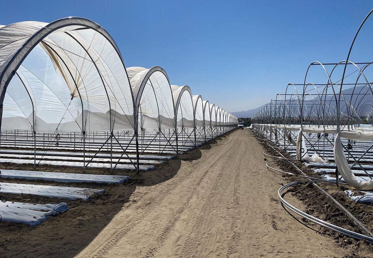 Coachella, Riverside County, CA Farms and Ranches, Undeveloped Land for