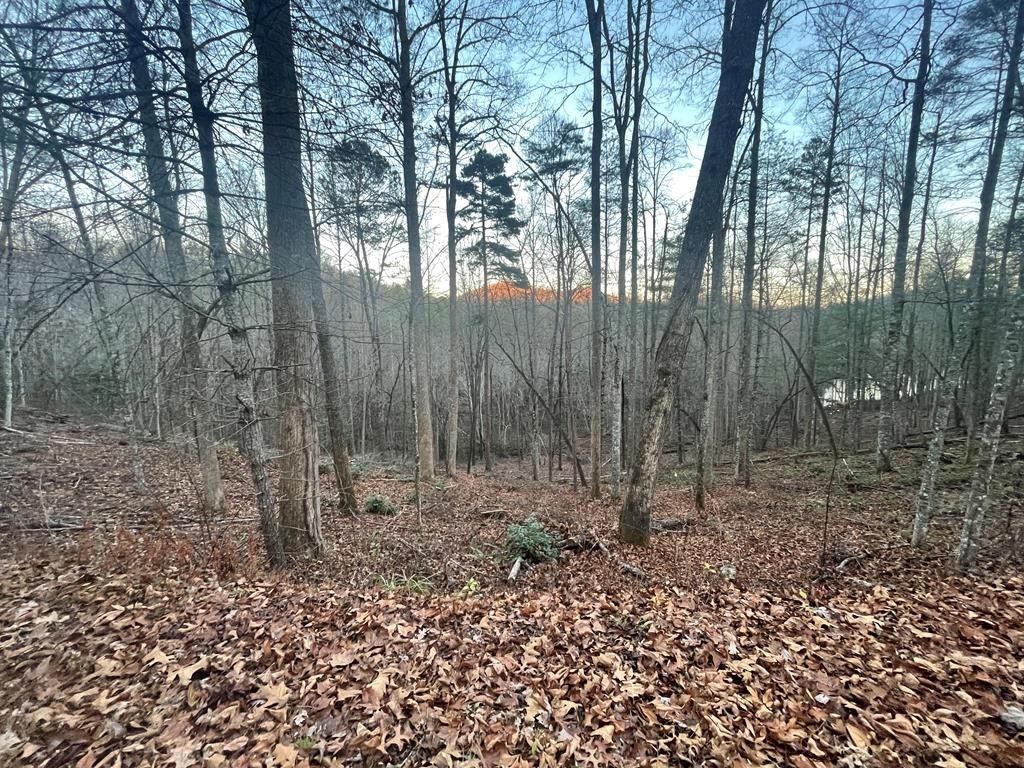 Lake Santeetlah, Graham County, NC Undeveloped Land, Homesites for sale Property ID 415287201