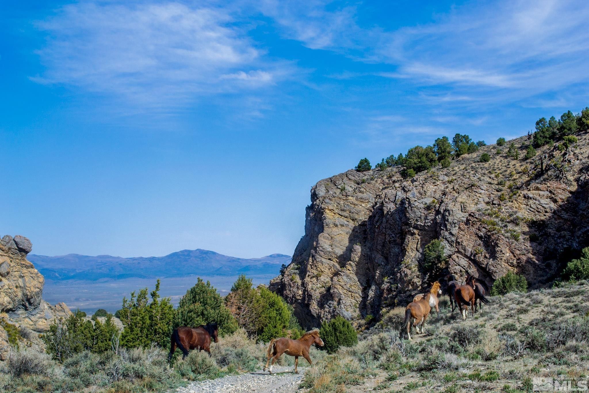 Manhattan, Nye County, NV Farms and Ranches, House for sale Property ID