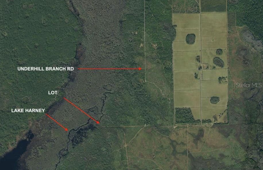 Osteen, Volusia County, FL Undeveloped Land, Homesites for sale