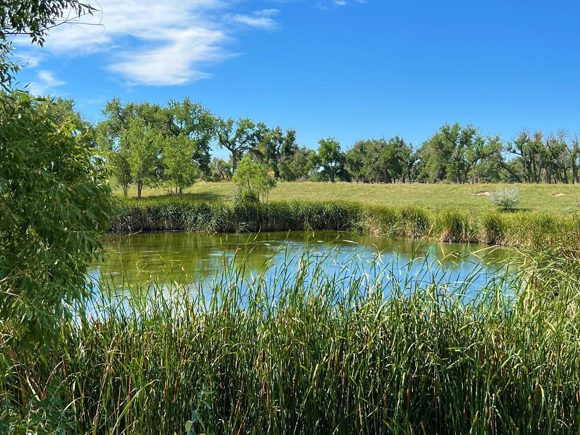 1,078 acres in Agate, CO, 80101 LandWatch