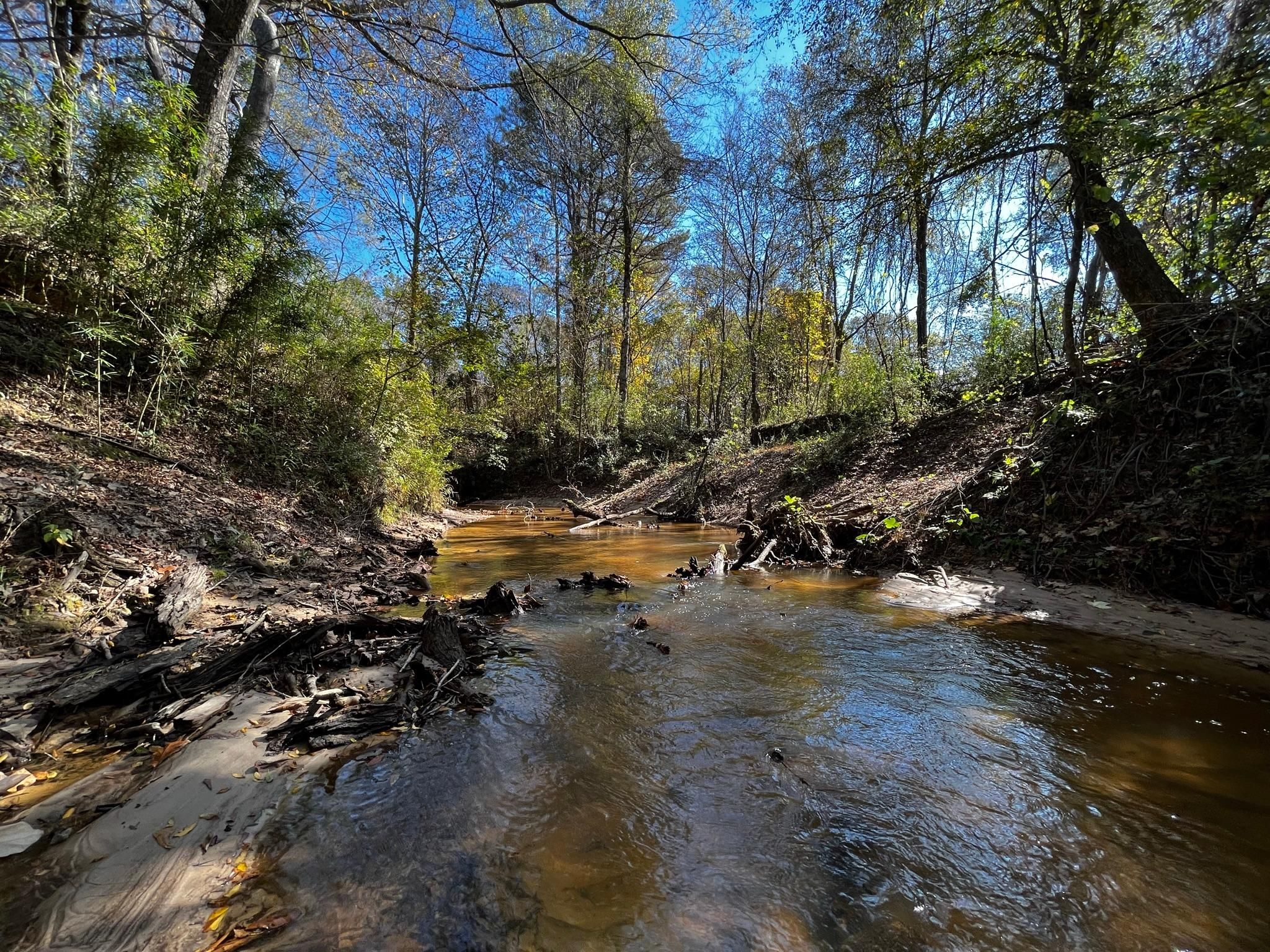 Sallis, Attala County, MS Recreational Property, Timberland Property