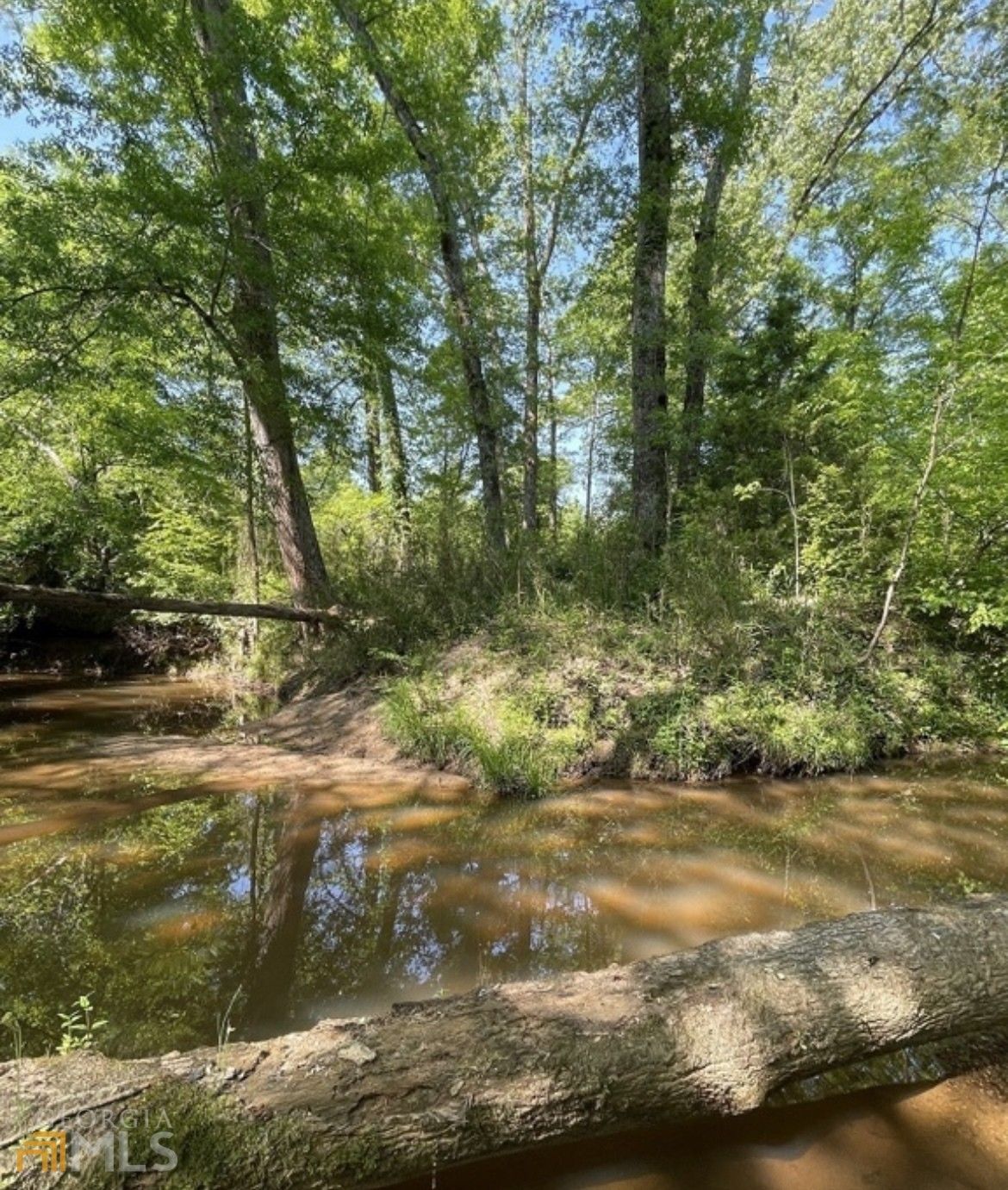 Elberton, Elbert County, GA Undeveloped Land for sale Property ID