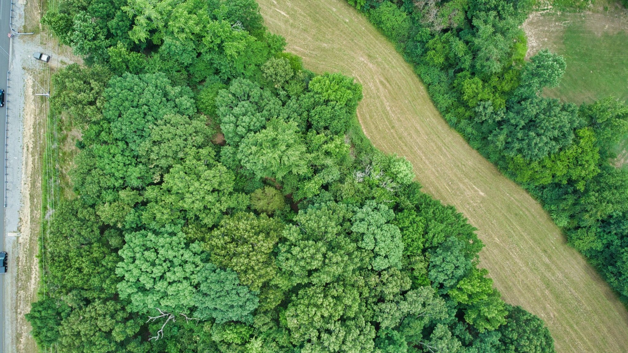 Big Rock, Stewart County, TN for sale Property ID 415287929 LandWatch